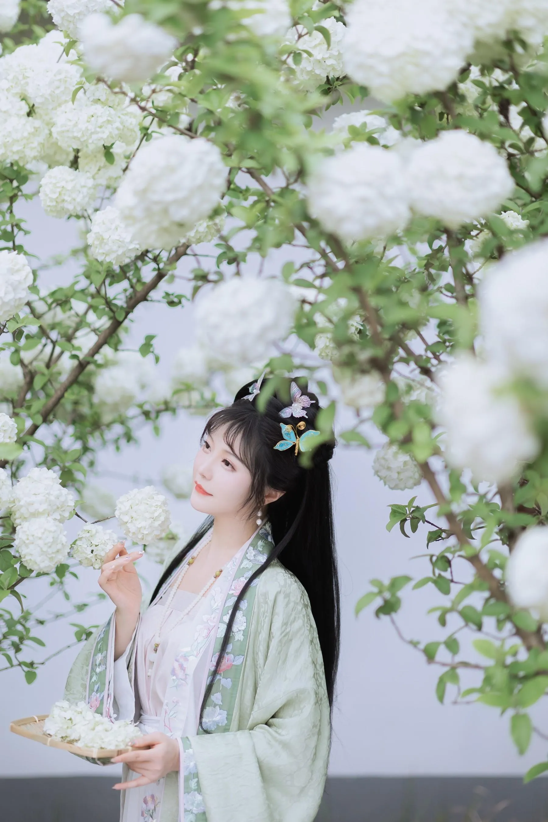 [艺图语] 2022.06.09 探春 璐璐haley [42P]插图6